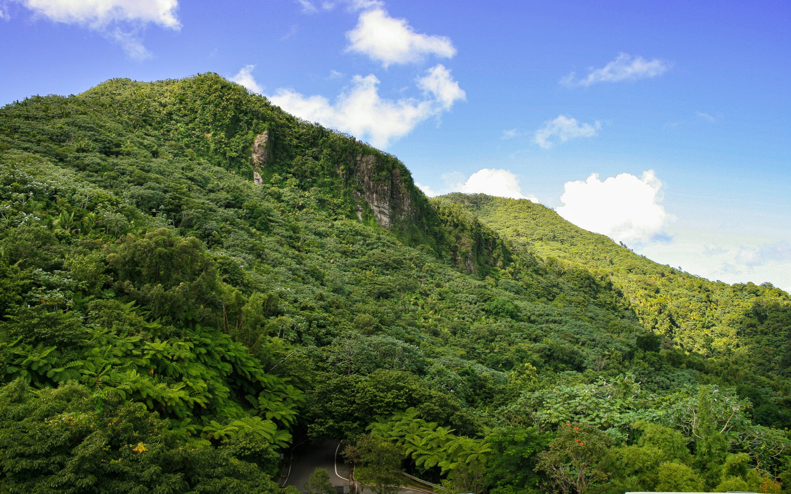 El Yunque National Forest